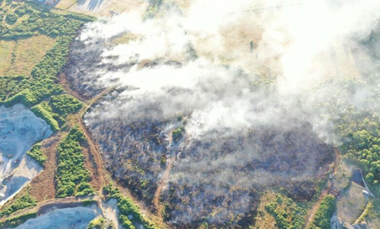 Şili’de orman yangınları kontrol altına alınamıyor