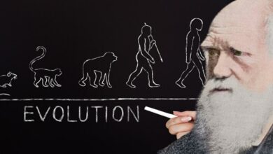 Bilim dünyası bu iddia ile sarsıldı: Evrim teorisi çalıntı çıktı
