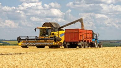 Rusya’dan tahılda yumuşama sinyali