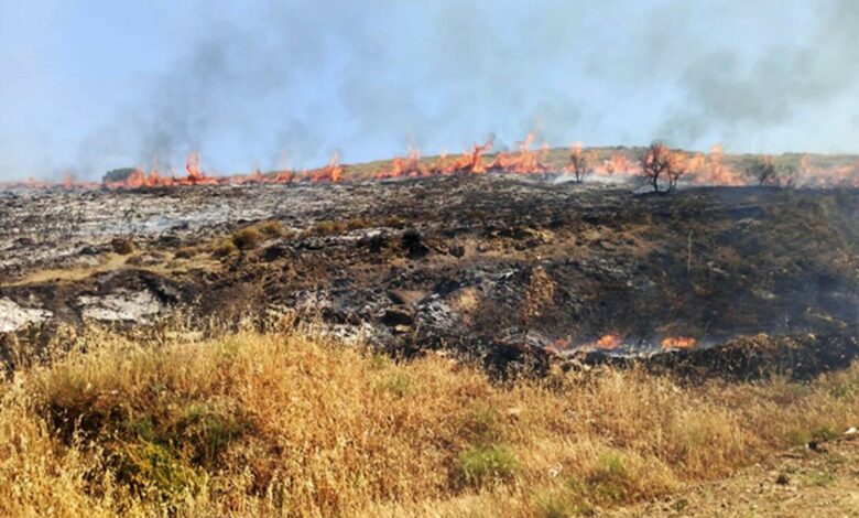 Gelibolu'da makilik yangını, buğday tarlalarına ulaşmadan söndürüldü