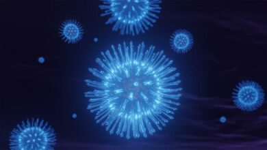 Afrika’da yeni salgın paniği! Dünyanın en ölümcül virüslerinden biri… DSÖ uzmanları inceliyor
