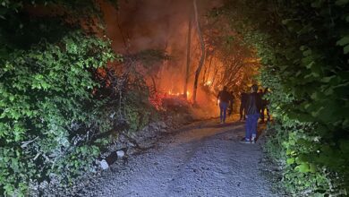 Kütahya'da orman yangınına ilk müdahaleyi devriyedeki polis ve bekçiler yaptı