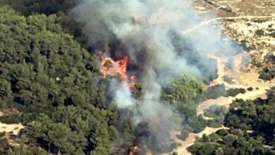 İzmir'de orman yangını! Ekipler alevlere müdahale ediyor