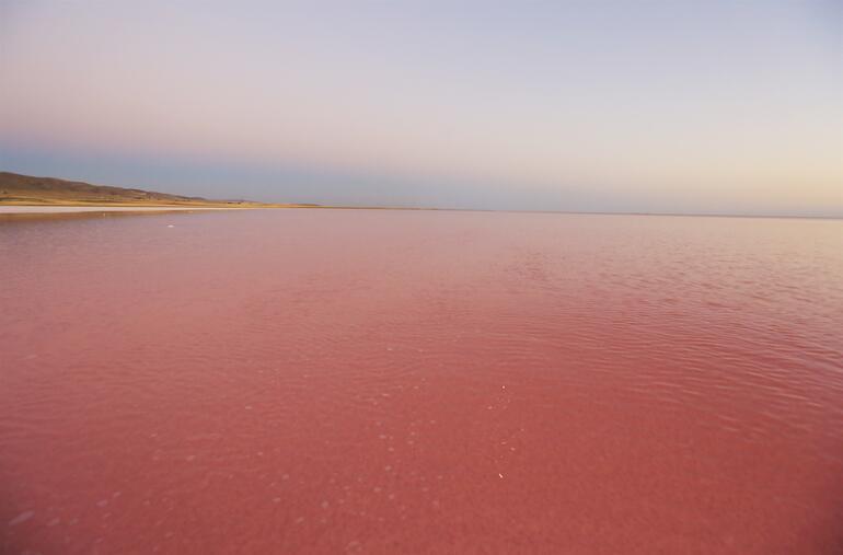 Tuz Gölünde şaşırtan görüntü Pembe renge döndü, nedeni ortaya çıktı
