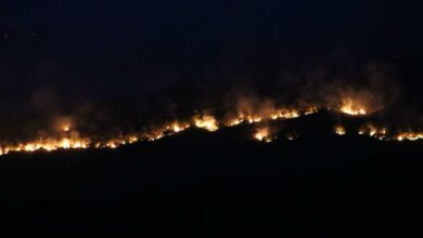 Bulgaristan’daki yangın Edirne'nin sınır köylerine dayandı: Alevler ürkütücü boyuta ulaşıyor