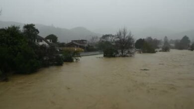 Yeni Zelanda'da sel felaketi: 400 ev tahliye edildi