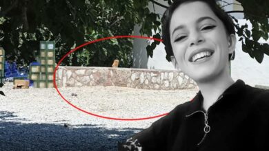 Türkiye'nin konuştuğu Zehra Bayır cinayetinde otopsi raporu çıktı