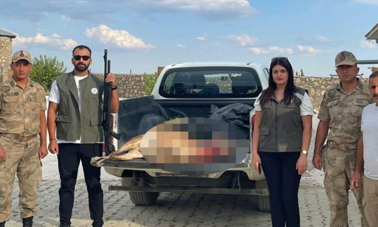 Tunceli'de yaban keçisi avlayan kişiye 254 bin TL ceza kesildi