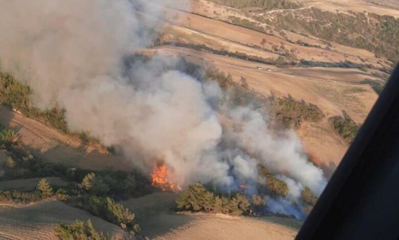 Adana'da orman yangını: Kontrol altına alındı