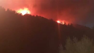 Çataklı'dan 'sığınmacılar çıkarıyor' iddiasına videolu yanıt: Marmaris yangını arıcının yaktığı ateşle çıktı