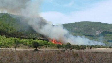 Çanakkale'de orman yangını - Son Dakika Haberleri İnternet