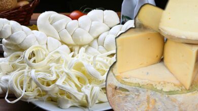 Peynir diyarı Türkiye listeye giremedi! Neden peynirlerimizi ön plana çıkaramıyoruz?