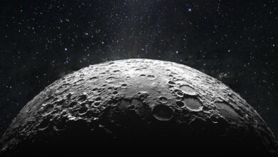 Ünlü isimler Ay'a gidiyor... Japon milyarder Maezawa listeyi açıkladı