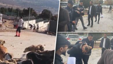 Konya'daki barınakta köpek kürekle öldürülmüştü: İstenen cezalar belli oldu
