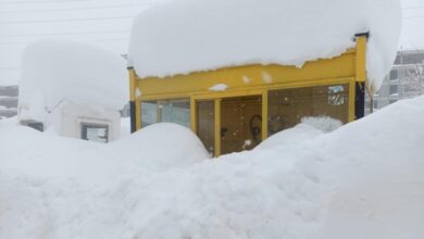 Bitlis'te kar kalınlığı 3 metreyi aştı! 317 köy yolu kapalı