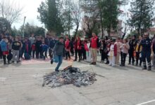 Siirt’te Nevruz Bayramı kutlandı - Son Dakika Haberleri