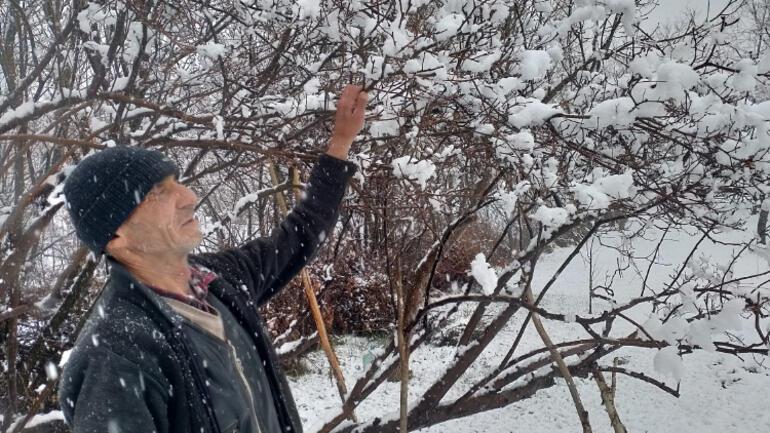 Diyarbakır, Van ve Bitliste kar yağışı etkili oldu