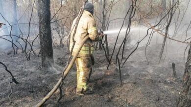 Silivri’de orman yangını - Son Dakika Haberleri