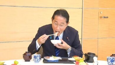 Japonya Başbakanından Fukushima eleştirilerine yemekli cevap