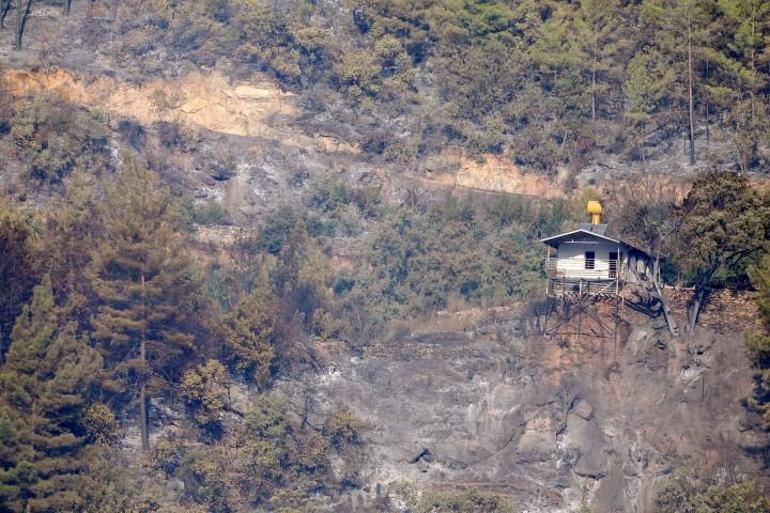 Alanyadaki orman yangınında ikinci gün... 190 hektarlık alan zarar gördü